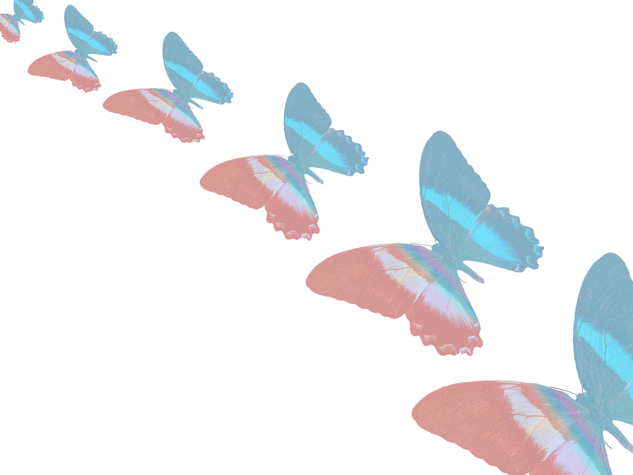 访客